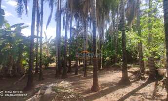 Imagem 3: Chácara com 3 dormitórios à venda, 3200 m² por R$ 1.580.000,00 - Solange Park II - Goiânia