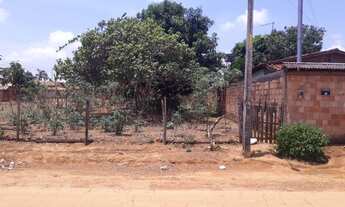 Imagem: Lote 362,52m² - Jardim Dom Bosco 2