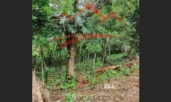 Imagem 5: Lote/Terreno para venda com 718 m² em Siriú - Garopaba - SC