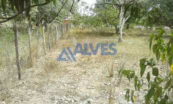 Imagem 7: CHÁCARA COM 3,9 TAREFAS EM JAIBA