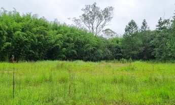 Imagem 4: Área empresarial na Rodovia Índio Tibiriça