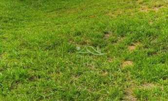 Imagem 3: Lote em Condomínio fechado