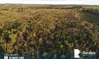 Imagem 2: Fazenda de dupla aptidão com aproveitamento de 70% no vale do Araguaia - TO
