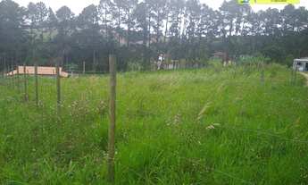 Imagem 3: Terrenos à venda, 250 m² cada, por R$ 45.000 - Carmo Messias - Ibiúna/SP