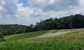 Imagem 3: Lote/Terreno para venda com 600 metros quadrados em Veloso - Osasco - SP