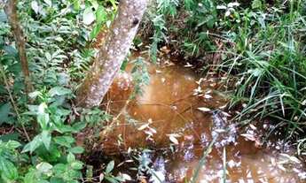 Imagem 7: Venda Commercial / Land Lot Brumadinho MG