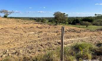 Imagem 3: Fazenda à venda, 610Ha (126 alqueires) - em Dois Irmãos do Tocantins-TO