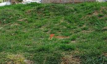 Imagem 5: Terreno à venda, 256 m² por R$ 185.000,00 - Jardim São Francisco - Piracicaba/SP