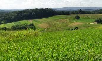 Imagem 4: Vendo meu lote- Cotia - SP