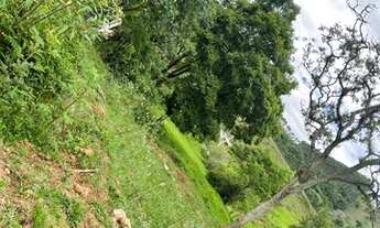 Imagem 2: E03-Lote/Terreno para venda possui 2500 metros quadrados