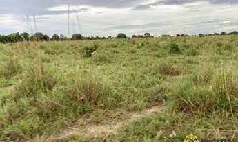 Imagem 3: Fazenda à venda, 400 Hectares em Miracema do Tocantins/TO