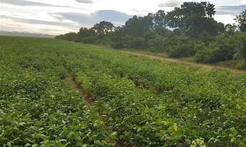 Imagem 7: Fazenda à venda, 2.130 Hectares em Colinas do Tocantins/TO