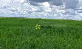 Imagem: Fazenda 2.420 Hectares no Vale do Araguaia