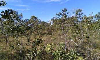 Imagem 3: Fazenda à venda, 3.280 Hectares em Lagoa do Tocantins
