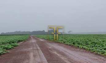 Imagem 7: Fazenda 700 Hectares, Miracema do Tocantins, TO