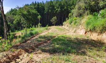 Imagem 3: Chácara 48.400m² Campo Magro