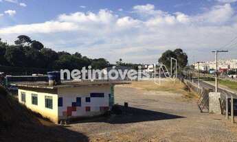 Imagem: Locação Estacionamento Vila Oeste Belo