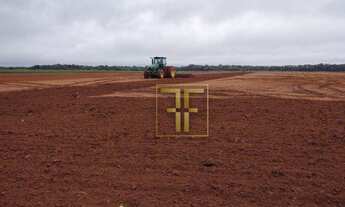 Imagem 2: Fazenda 700 Hectares, Miracema do Tocantins, TO