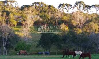 Imagem 6: Terreno Urbano para venda em Curitiba - PR