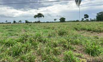 Imagem 6: Fazenda à venda de 720 Hectares em Araguacema do Tocantins