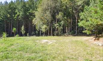 Imagem 4: Chácara 48.400m² Campo Magro