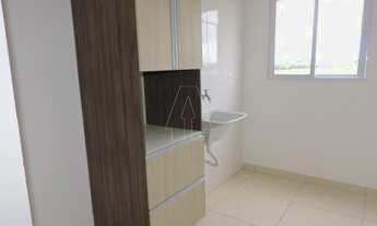 Imagem 3: Araçatuba - Apartamento - Concórdia IV