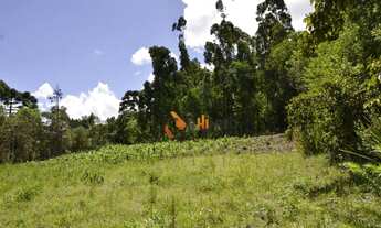 Imagem 4: Chácara com 2 dormitórios à venda, 9075 m² por R$ 870.000,00 - Florestal - Quatro Barras/P