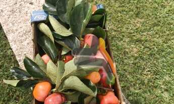 Imagem 3: Casa com 3 dormitórios à venda, 433 m² por R$ 1.730.000,00 - Condomínio Monte Belo - Salto