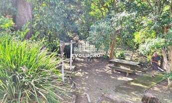 Imagem 4: Sítio 3.000,00m², Vargem do Bom Jesus, Florianópolis/SC