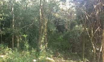 Imagem 4: Ótima chácara a venda, com área de 4.000 m², água corrente nos fundos, com escritura regis