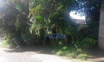 Imagem 5: Terreno, Água Verde