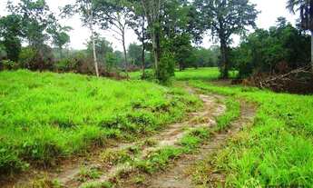 Imagem: Fazenda à venda, 1.800 Hectares em Dueré