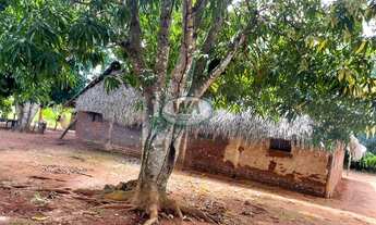 Imagem 7: Fazenda com dupla aptidão e ótimo preço