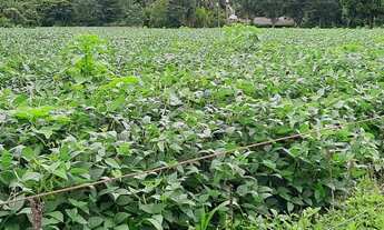 Imagem 2: Sítio 12 Hectares Capão Seco Paranoá !!! 1.000.000 !!!