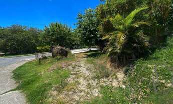 Imagem 7: JARDIM PAGLIATO - TERRENO IDEAL PARA CONSULTÓRIOS OU ESCRITÓRIOS - FRENTE PARA O PARQUE PA