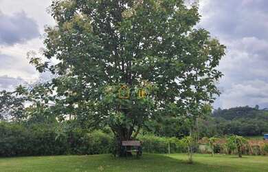 Imagem 14: Maravilhosa chácara em Pinhalzinho, circuito das águas Paulista área 4.000 m² casa com 04