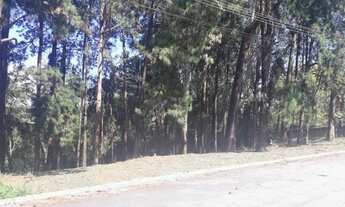 Imagem 6: Terreno à venda, 1939 m² por R$ 469.449,00 - Residencial Morada dos Lagos - Barueri/SP