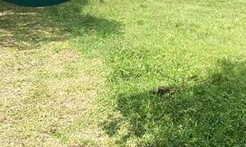 Imagem: 7 Lotes em Ibiúna de 500m² 1OCA80J