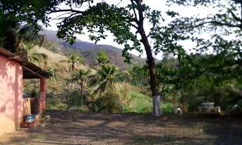 Imagem 2: Sítio Chácara com venda por R$165.000