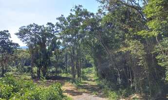 Imagem 3: 29 Lotes Planos de 1000m² em Ibiúna-SP 1U65NVD