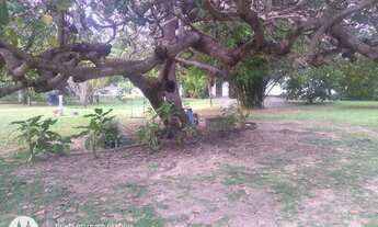 Imagem 5: SITIO 1.000 m² , na Região do Tapuio - Eusébio- CE