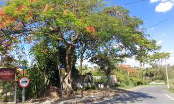 Imagem 4: Área à venda, 7537 m² por R$ 1.125.000,00 - Chácara Letônia - Americana/SP