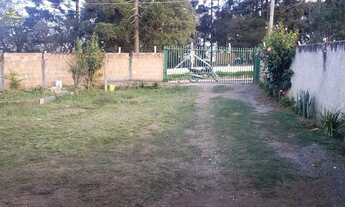 Imagem 4: BALSA NOVA - Casa Padrão - Bugre