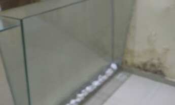 Imagem 6: Prédio para alugar, 540 m² - Jardim Veloso - Osasco/SP