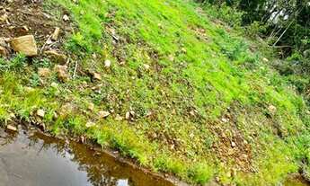 Imagem 4: Belíssimo sítio de 5.3 hectares em Urussanga