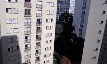 Imagem 5: São Paulo - Apartamento Padrão - HIGIENÓPOLIS