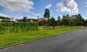 Imagem 7: Lote em condomínio - Árvores