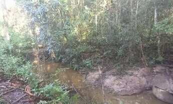 Imagem 5: Ótima chácara a venda, com área de 4.000 m², água corrente nos fundos, com escritura regis