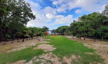 Imagem: Rancho com 5 dormitórios à venda por R$