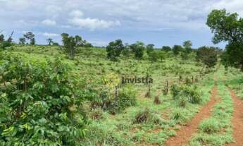 Imagem 5: Fazenda aberta à venda 350 Hectares em Paraíso do Tocantins/TO